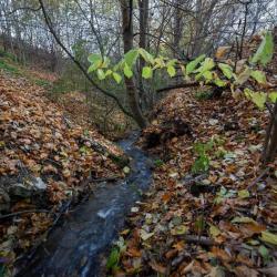 Фото Отель Паленки