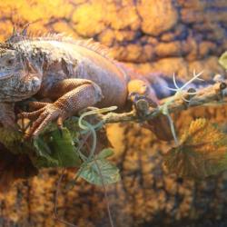 Фото Отель Плаза