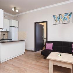1-комнатные апартаменты эконом Улица Аргишти, дом 11, кв. 80