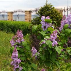 Фото Отель Art Voyage hotel (Арт Вояж)