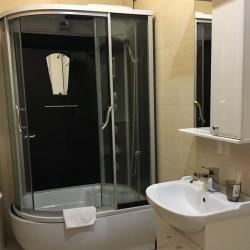 Номер полулюкс с 1 двуспальной кроватью #4