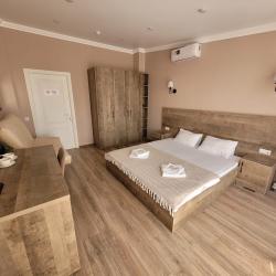 Номер стандарт семейный с 1 двуспальной кроватью