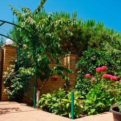 Фото Отель Морской