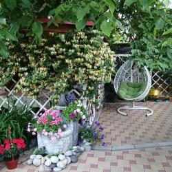 4-комнатный коттедж стандарт