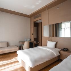 Фото Отель Ibis Styles Красная Поляна (Ибис Стайлс)