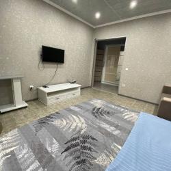 1-комнатные апартаменты стандарт