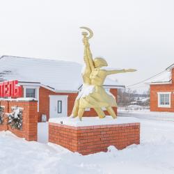 Фото Отель Родина