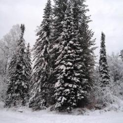 Фото Отель Куатанг