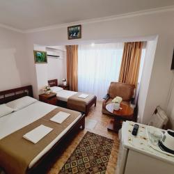 Фото Отель Золотой лев