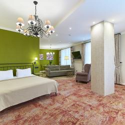 Номер студия премиум с 1 двуспальной кроватью