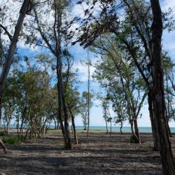 Фото Отель Тамыш Village (Тамыш Вилладж)