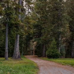 Фото Отель Озерки