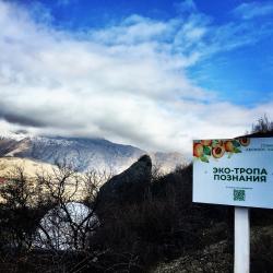 Фото Отель Абрикос Village (Абрикос Вилладж)