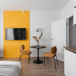 Апартаменты студия RoomyRoom Premier