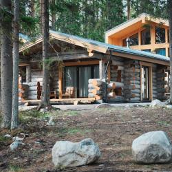 Коттедж премиум