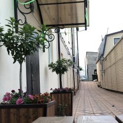 Фото Отель Олива