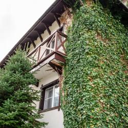 Фото Отель Альпийский двор