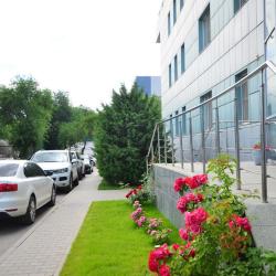 фото 7 SQ (Эс Кью)
