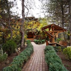 Александр — d80fdac59c24ba4cbe1a0d0efe1885e0