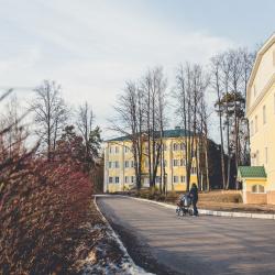Фото Отель Лесное