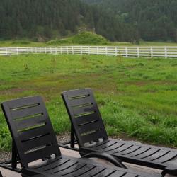 Фото Отель Альпинс residence