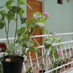 Фото Отель Ангелина от Травел Хотелс Антураж