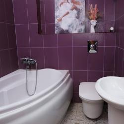 Фото Отель Вингс