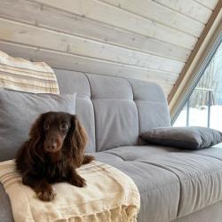 A-frame с банным чаном