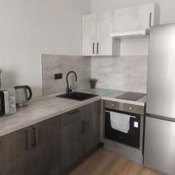 Фото Апартаменты на улице Воронежская 47/35