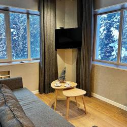Фото Отель Dombay Flats ( Флэтс)