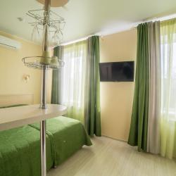 Фото Отель Теремок (Московский район)