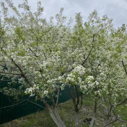 Фото Отель Золотой сазан