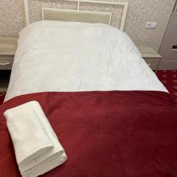 Фото Отель Hotel Erebuni Plaza (Эребуни Плаза)