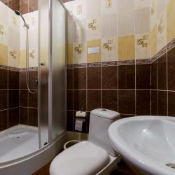 Фото Отель Родина