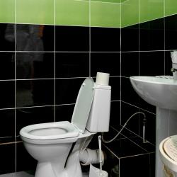 Стандарт (семейный)