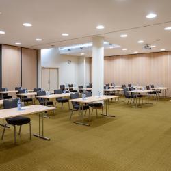 HolidayHall Samara (ХолидейХолл Самара) (бывш. Holiday Inn Samara) — d880fed273c4597d490dc1873919880c