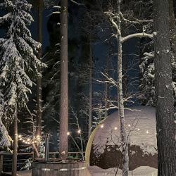 Коттедж премиум