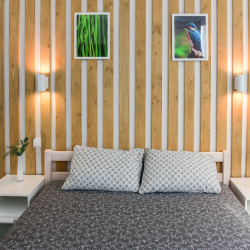 4-местные 1-комнатные апартаменты стандарт