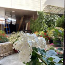 Комната стандарт с 1 двуспальной кроватью
