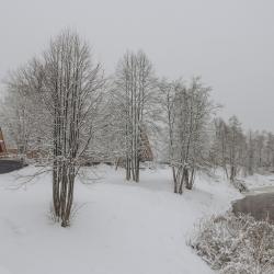 Фото Отель Кроличья нора