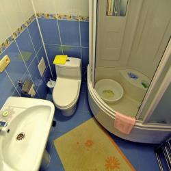 Комната люкс с 1 двуспальной кроватью и диваном