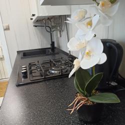 1-комнатные апартаменты стандарт в Курортной зоне Кисловодска.