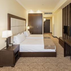 2-местный номер делюкс