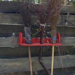 Фото Отель Гарри и философский чан