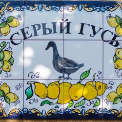 Фото Отель Серый Гусь