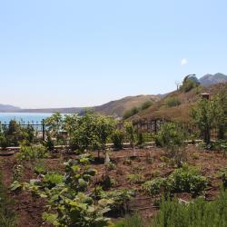 Фото Отель Авокадо