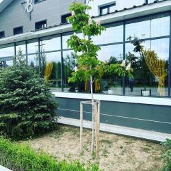 Фото Отель 78