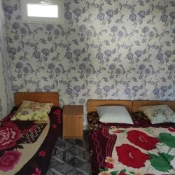 Фото Отель Под пальмой