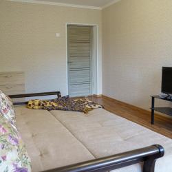 Фото Апартаменты на улице Тельмана 41