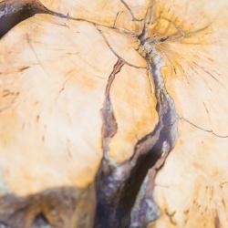 Фото Парк-отель Шишка